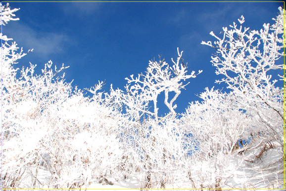 8ba6cf72b36e2a0ca62ec90af429f1cc_1618143386_5445.jpg 8ba6cf72b36e2a0ca62ec90af429f1cc_1618143386_5445.jpg